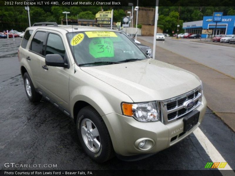 Gold Leaf Metallic / Charcoal Black 2012 Ford Escape XLT V6 4WD