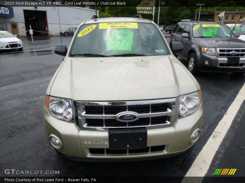 Gold Leaf Metallic / Charcoal Black 2012 Ford Escape XLT V6 4WD