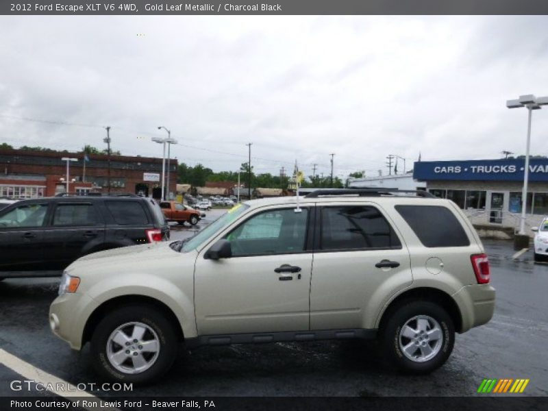 Gold Leaf Metallic / Charcoal Black 2012 Ford Escape XLT V6 4WD
