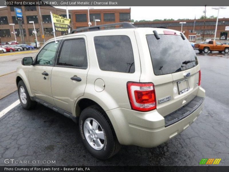 Gold Leaf Metallic / Charcoal Black 2012 Ford Escape XLT V6 4WD