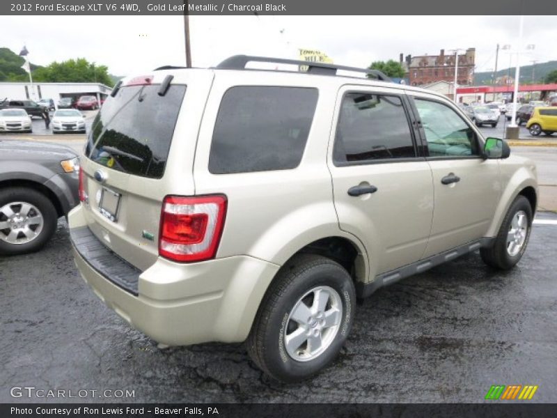 Gold Leaf Metallic / Charcoal Black 2012 Ford Escape XLT V6 4WD