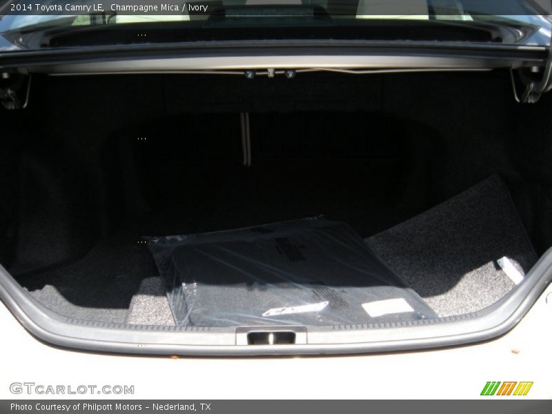Champagne Mica / Ivory 2014 Toyota Camry LE