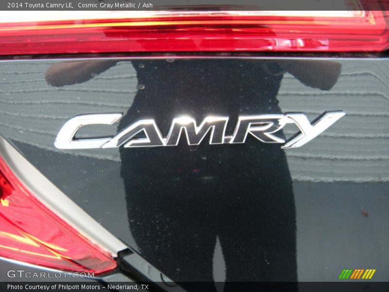 Cosmic Gray Metallic / Ash 2014 Toyota Camry LE