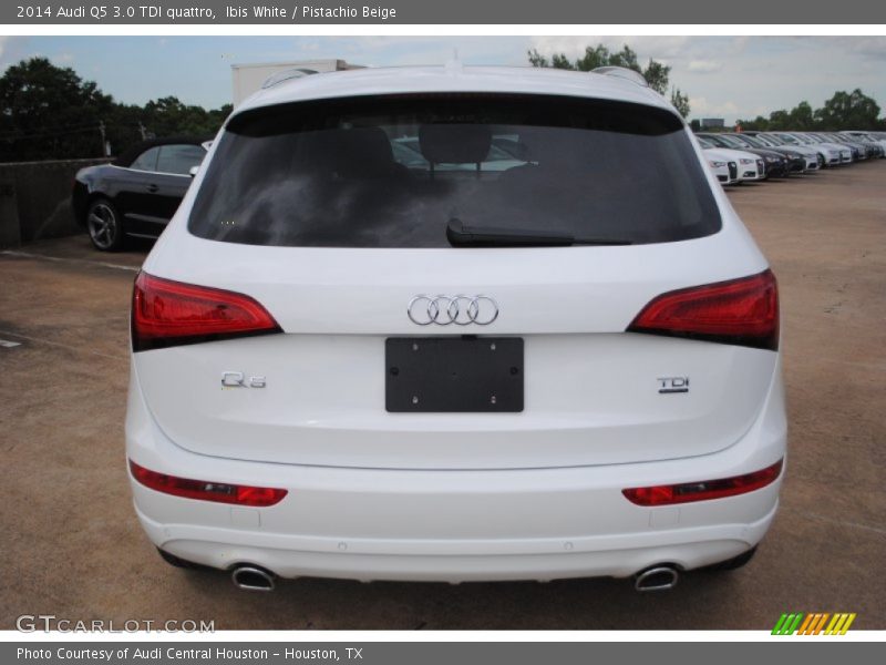 Ibis White / Pistachio Beige 2014 Audi Q5 3.0 TDI quattro