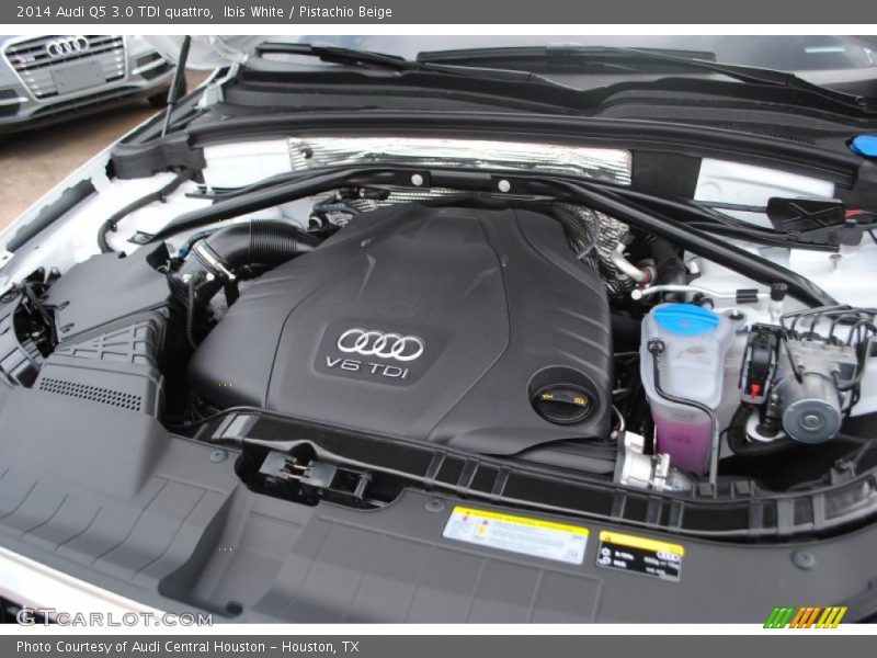 Ibis White / Pistachio Beige 2014 Audi Q5 3.0 TDI quattro
