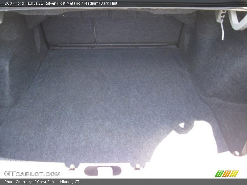 Silver Frost Metallic / Medium/Dark Flint 2007 Ford Taurus SE