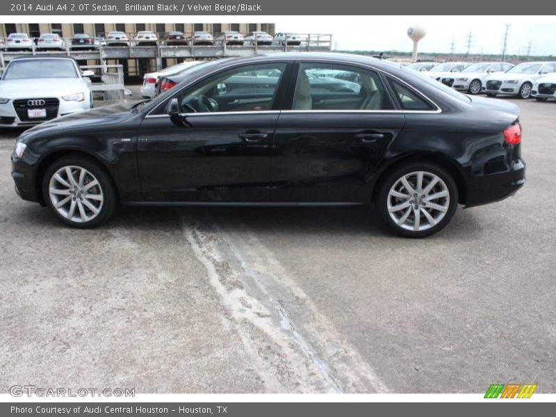 Brilliant Black / Velvet Beige/Black 2014 Audi A4 2.0T Sedan