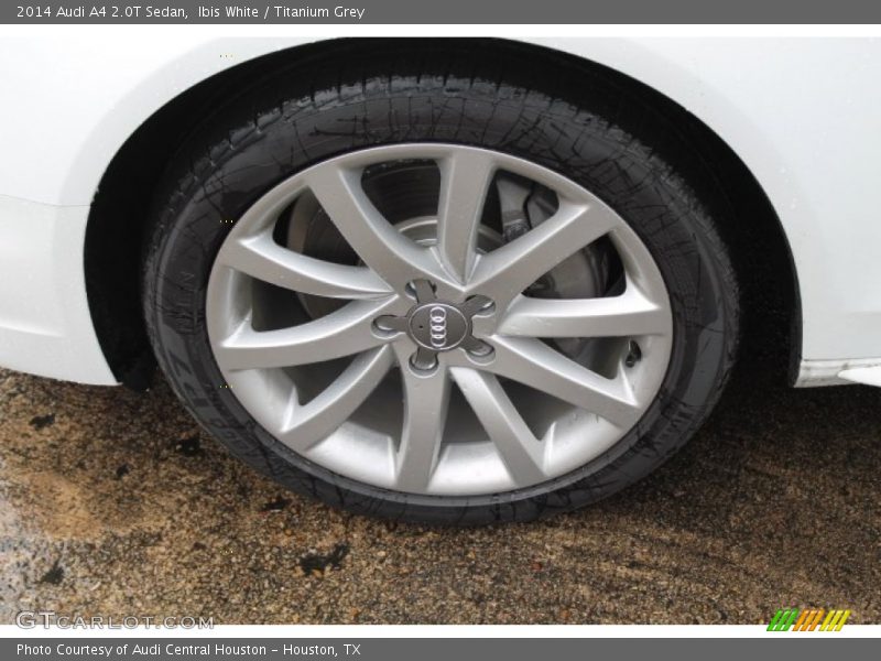 Ibis White / Titanium Grey 2014 Audi A4 2.0T Sedan