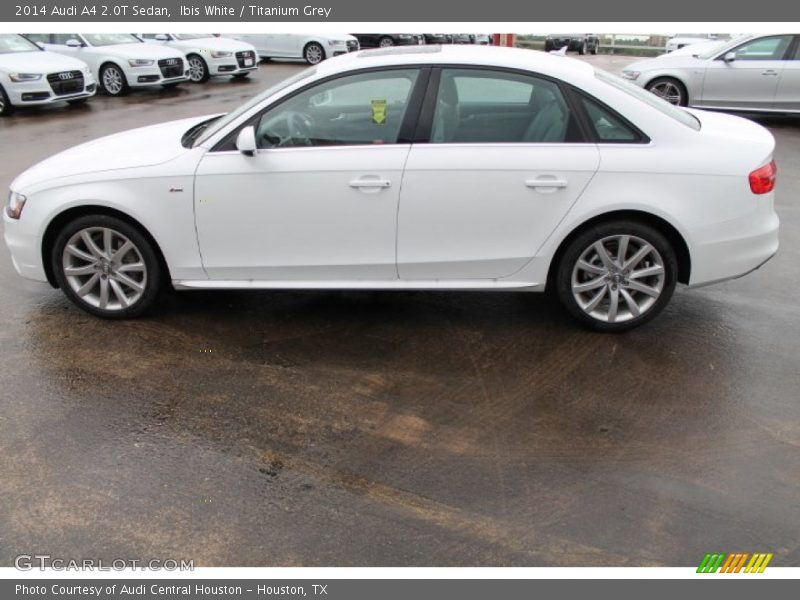 Ibis White / Titanium Grey 2014 Audi A4 2.0T Sedan