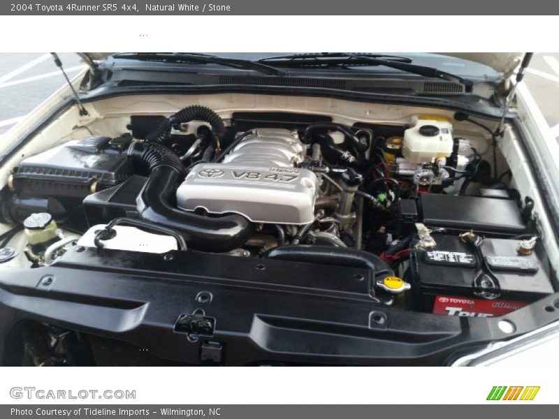 Natural White / Stone 2004 Toyota 4Runner SR5 4x4