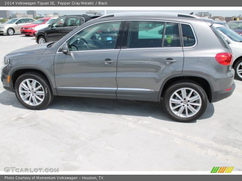 Pepper Gray Metallic / Black 2014 Volkswagen Tiguan SE