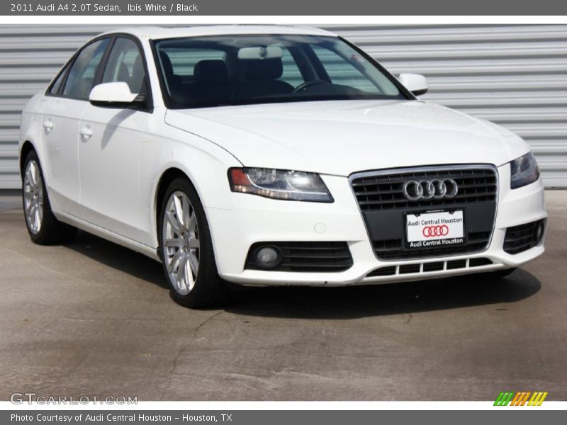 Ibis White / Black 2011 Audi A4 2.0T Sedan