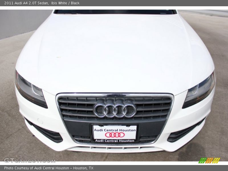 Ibis White / Black 2011 Audi A4 2.0T Sedan