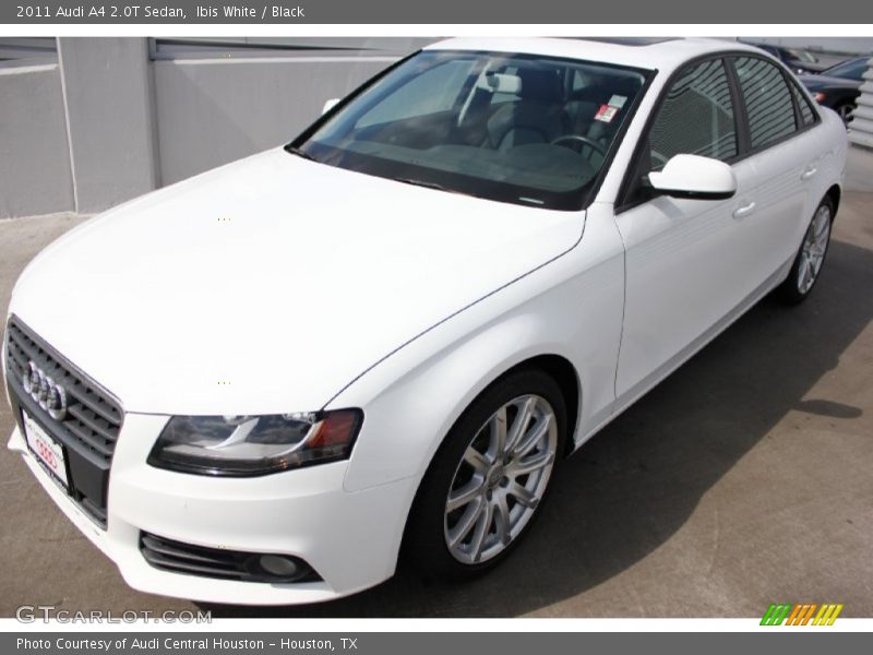 Ibis White / Black 2011 Audi A4 2.0T Sedan