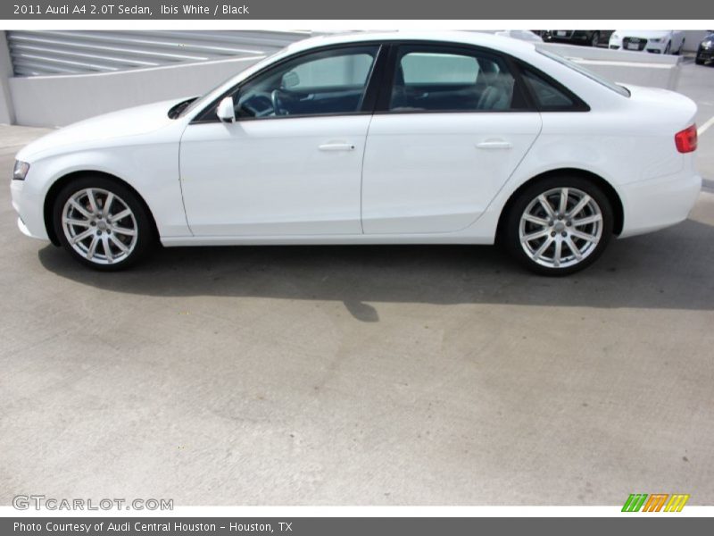 Ibis White / Black 2011 Audi A4 2.0T Sedan