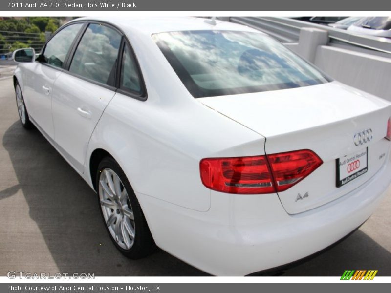 Ibis White / Black 2011 Audi A4 2.0T Sedan
