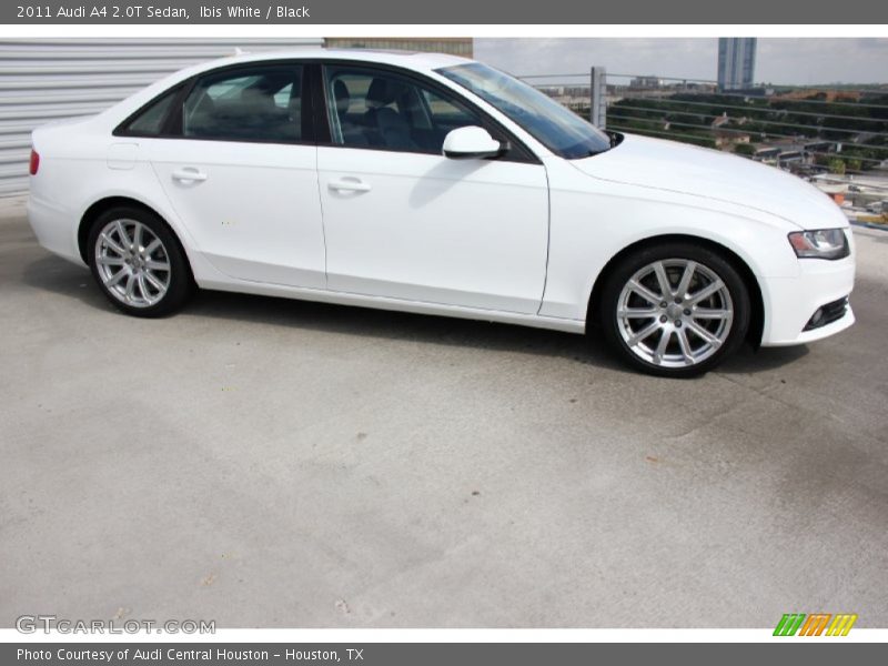 Ibis White / Black 2011 Audi A4 2.0T Sedan