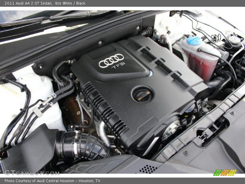Ibis White / Black 2011 Audi A4 2.0T Sedan