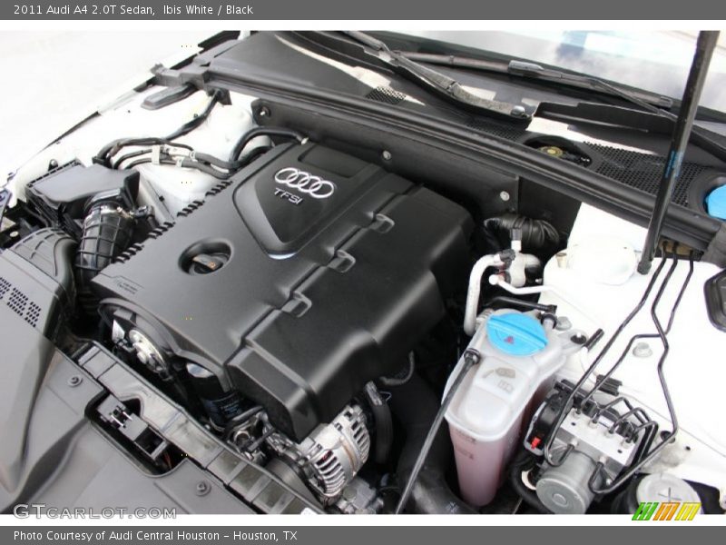 Ibis White / Black 2011 Audi A4 2.0T Sedan