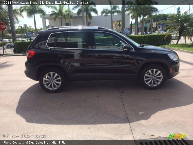 Deep Black Metallic / Charcoal 2011 Volkswagen Tiguan SE