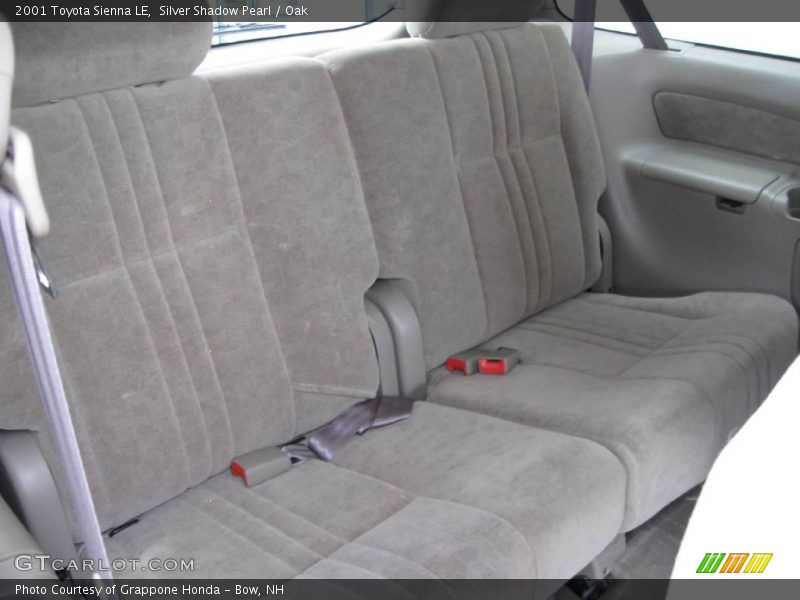 Silver Shadow Pearl / Oak 2001 Toyota Sienna LE