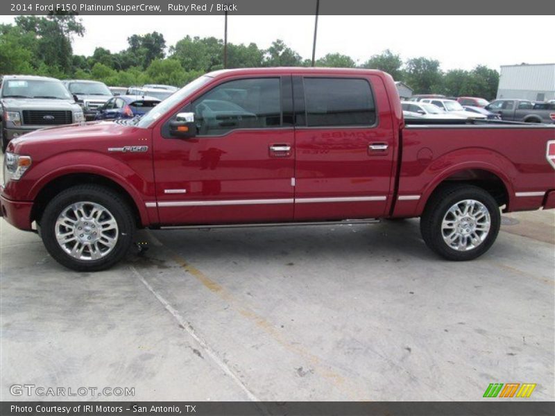 Ruby Red / Black 2014 Ford F150 Platinum SuperCrew