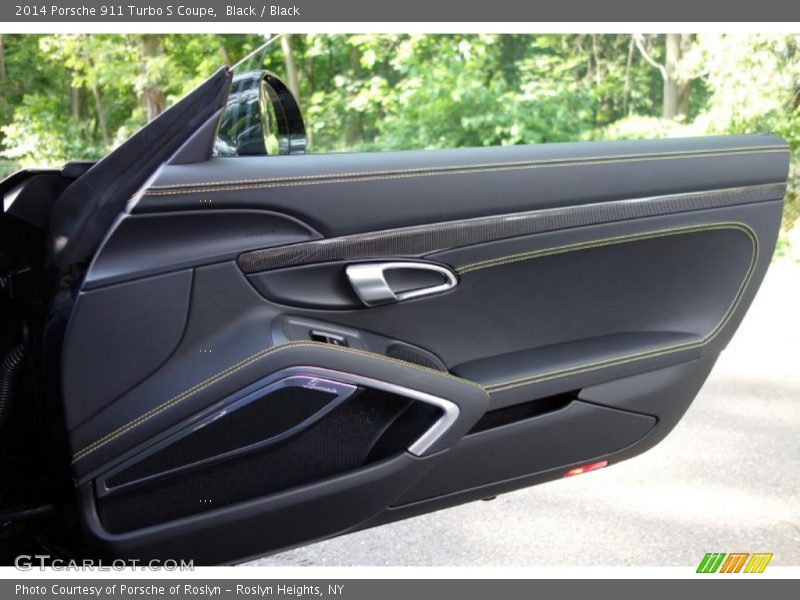 Door Panel of 2014 911 Turbo S Coupe