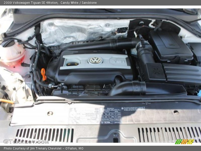 Candy White / Sandstone 2009 Volkswagen Tiguan SE 4Motion