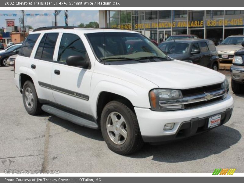Summit White / Medium Oak 2002 Chevrolet TrailBlazer LT 4x4