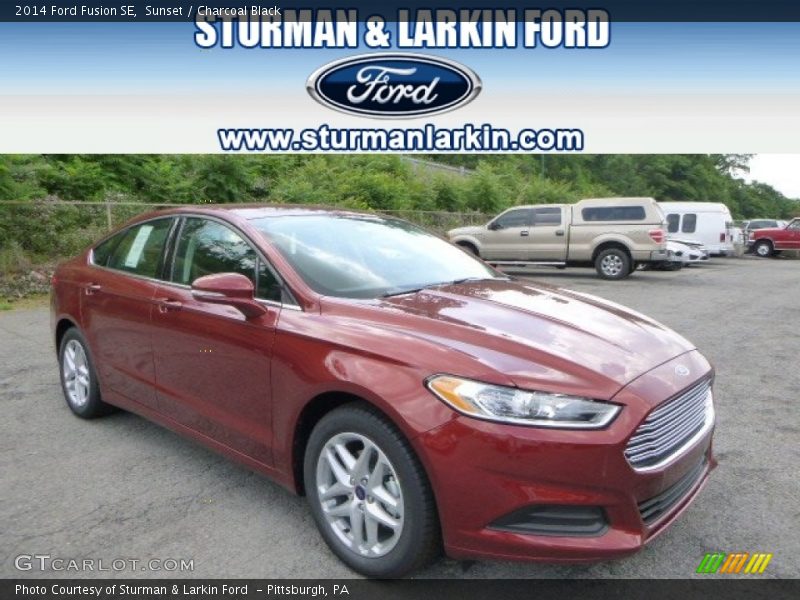 Sunset / Charcoal Black 2014 Ford Fusion SE