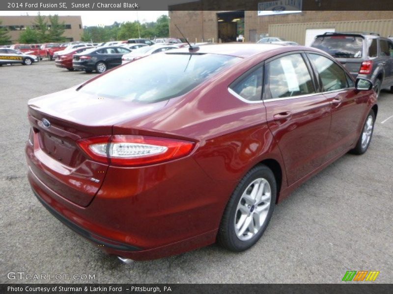 Sunset / Charcoal Black 2014 Ford Fusion SE