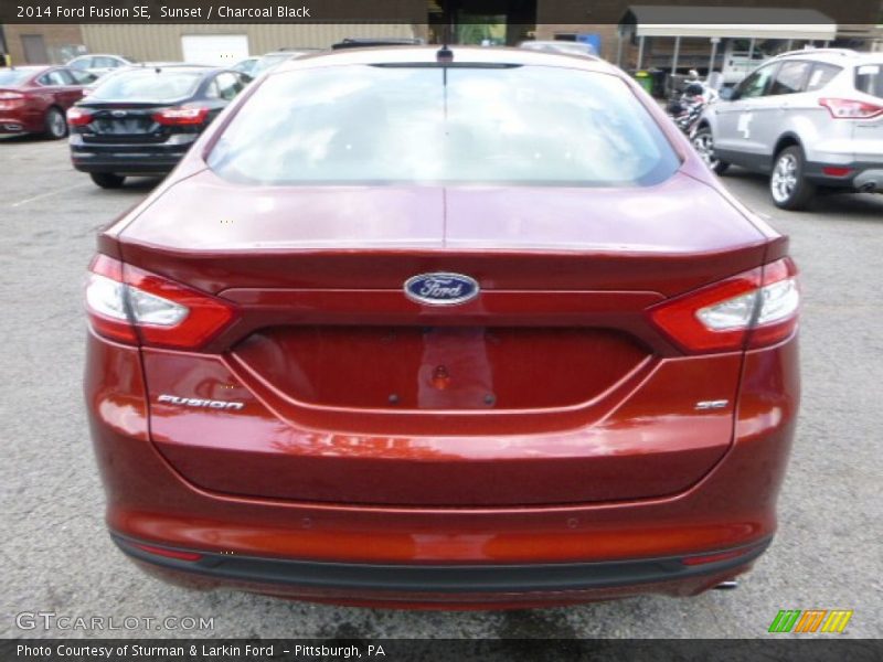 Sunset / Charcoal Black 2014 Ford Fusion SE