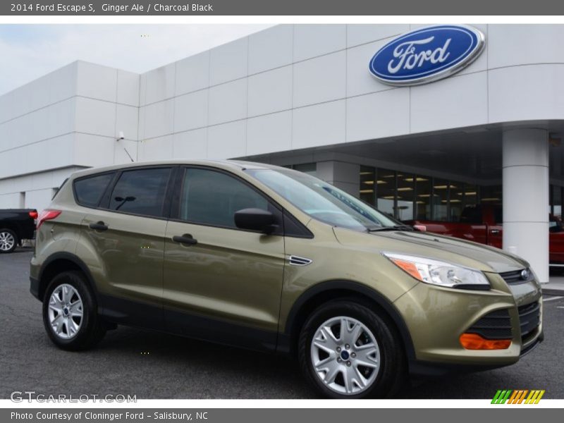 Ginger Ale / Charcoal Black 2014 Ford Escape S