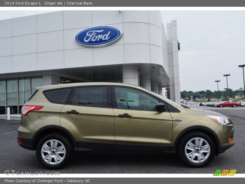  2014 Escape S Ginger Ale