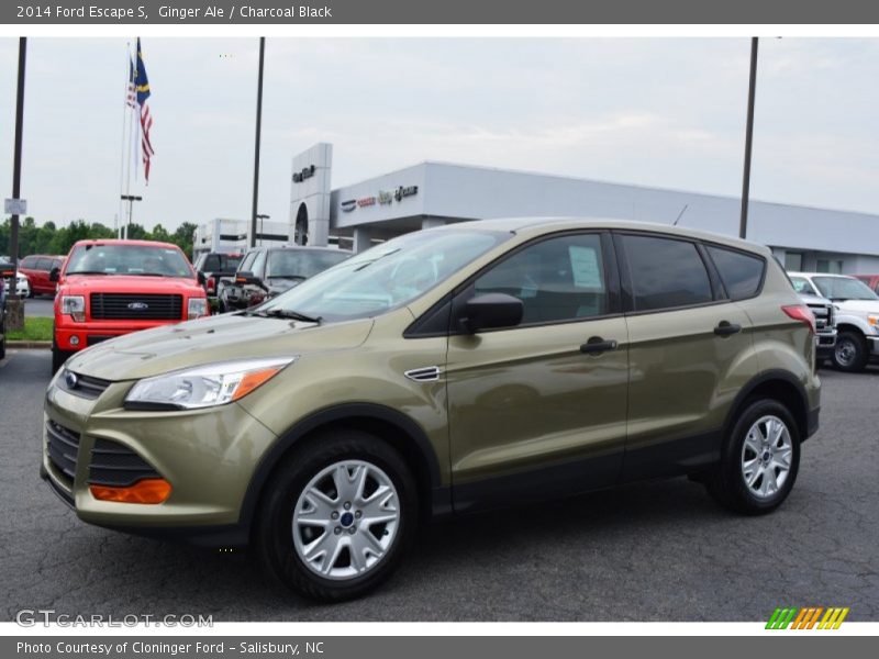 Ginger Ale / Charcoal Black 2014 Ford Escape S
