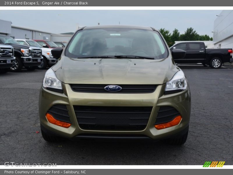 Ginger Ale / Charcoal Black 2014 Ford Escape S