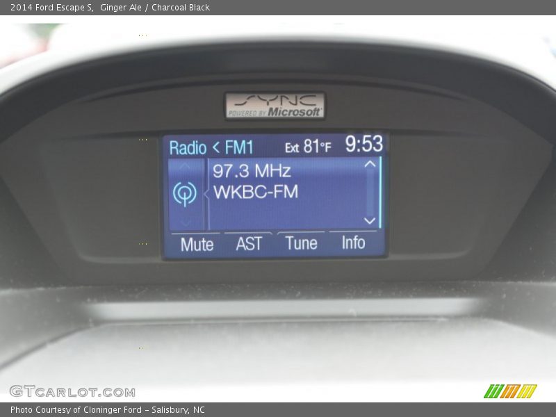 Ginger Ale / Charcoal Black 2014 Ford Escape S