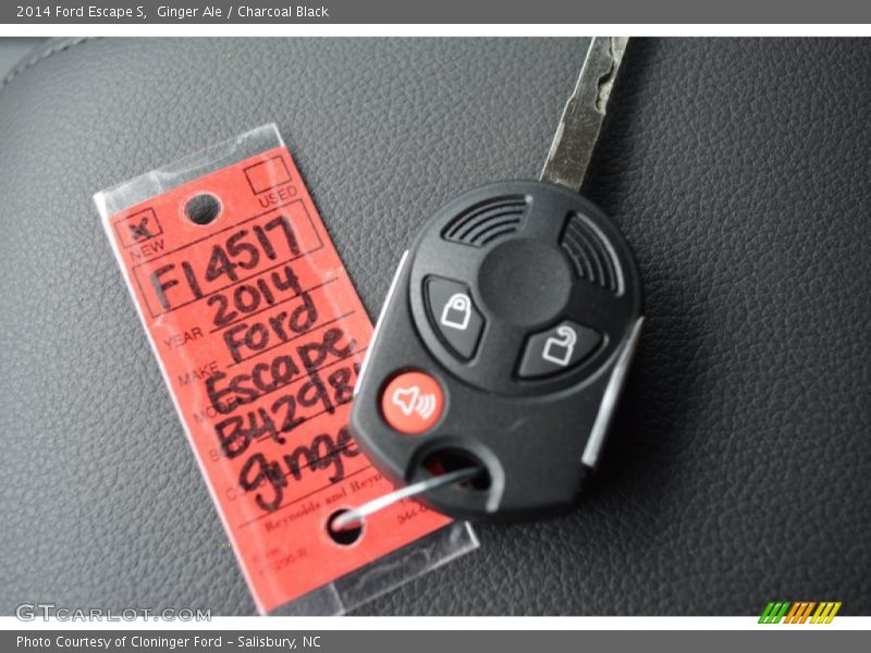 Ginger Ale / Charcoal Black 2014 Ford Escape S