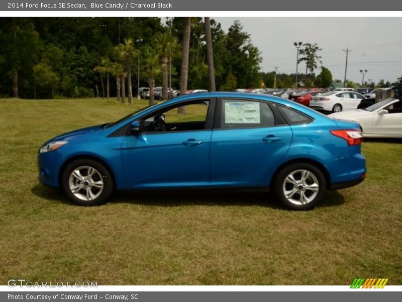Blue Candy / Charcoal Black 2014 Ford Focus SE Sedan