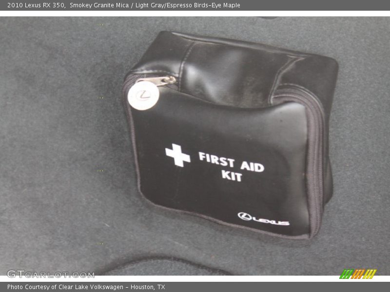 Smokey Granite Mica / Light Gray/Espresso Birds-Eye Maple 2010 Lexus RX 350