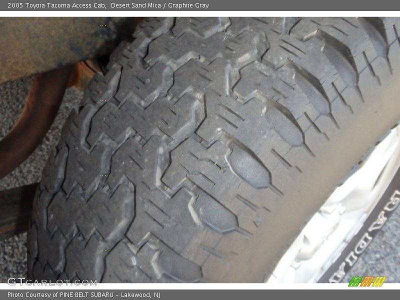Desert Sand Mica / Graphite Gray 2005 Toyota Tacoma Access Cab