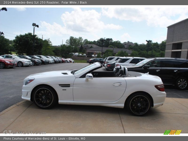 Polar White / Black 2014 Mercedes-Benz SLK 250 Roadster