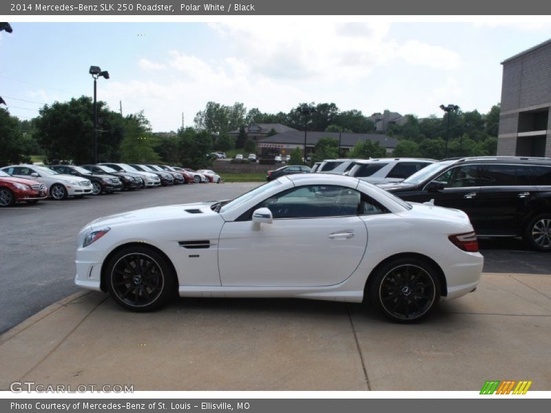 Polar White / Black 2014 Mercedes-Benz SLK 250 Roadster