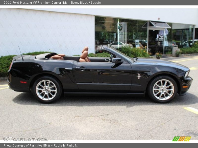 Ebony Black / Saddle 2011 Ford Mustang V6 Premium Convertible