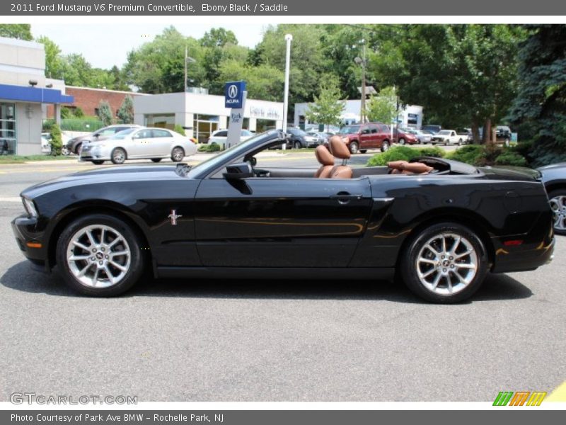 Ebony Black / Saddle 2011 Ford Mustang V6 Premium Convertible