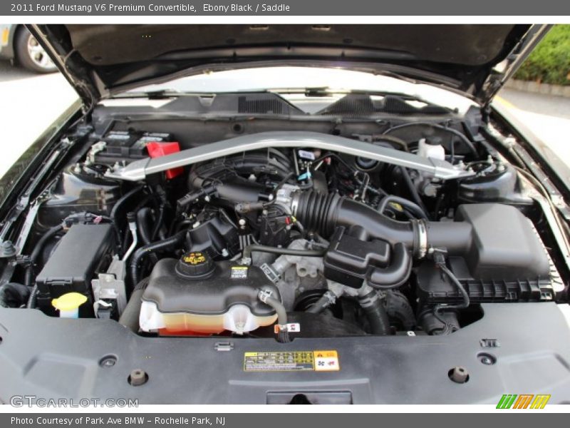 Ebony Black / Saddle 2011 Ford Mustang V6 Premium Convertible