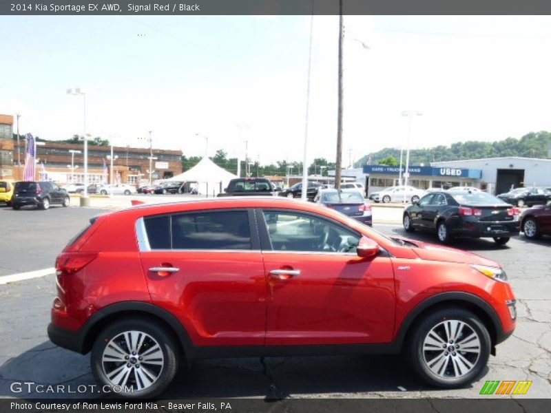 Signal Red / Black 2014 Kia Sportage EX AWD