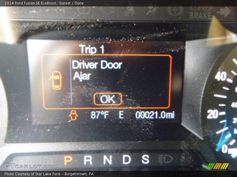 Sunset / Dune 2014 Ford Fusion SE EcoBoost