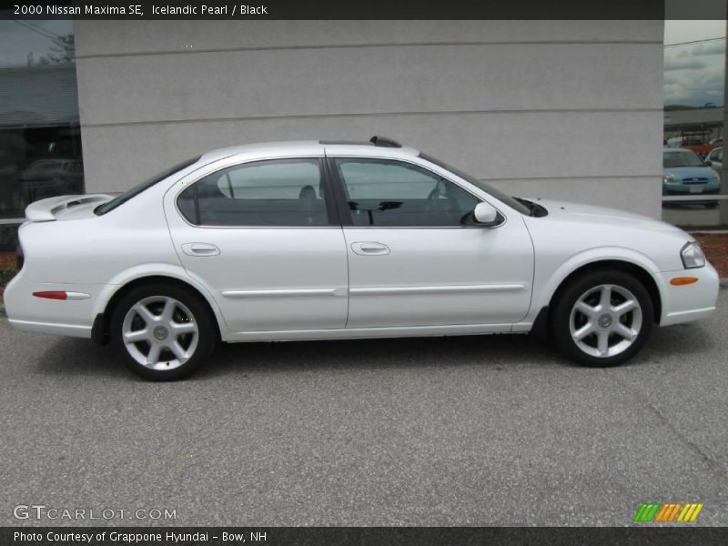 Icelandic Pearl / Black 2000 Nissan Maxima SE