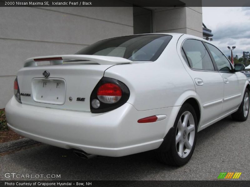 Icelandic Pearl / Black 2000 Nissan Maxima SE